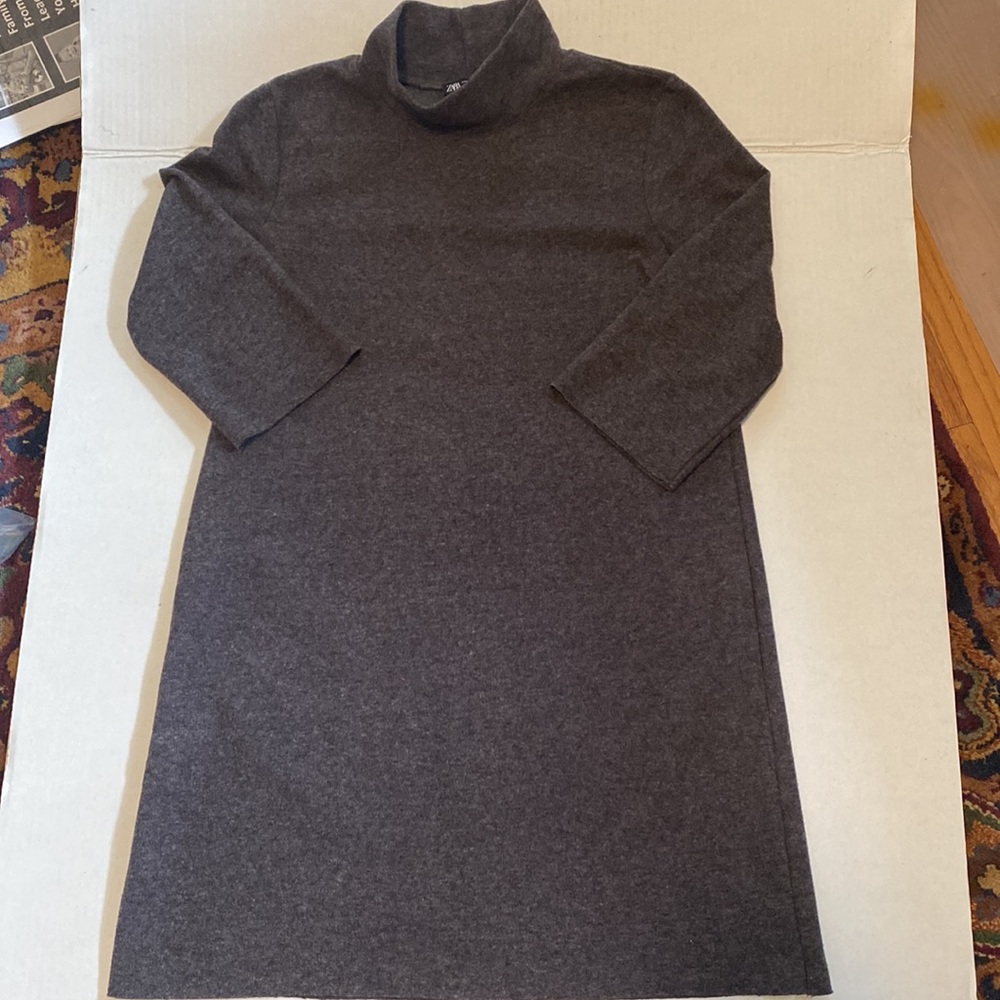 Zara Mock Turtleneck Dress